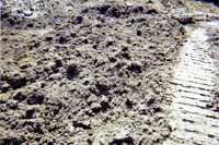 Clean dirt restored to original location