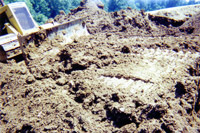 Pushing clean dirt back in hole - Farm dump cleanup