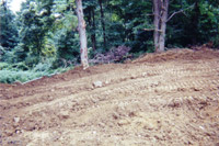 Clean dirt restored to original location