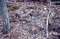 Farm Dump Cleanup: Debris Dump - Before